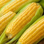 Tumbuhan Kuning Jagung Yang Banyak Menjadi Olahan