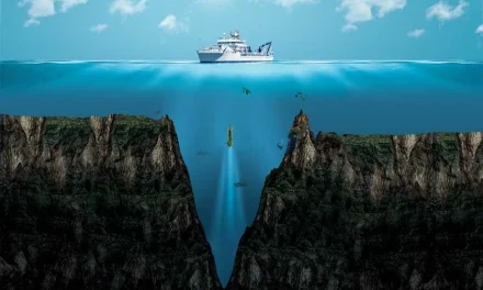 Keajaiban Alam Dengan Adanya Palung Mariana