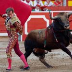 Pertarungan Banteng Dengan Seseorang Atau Matador