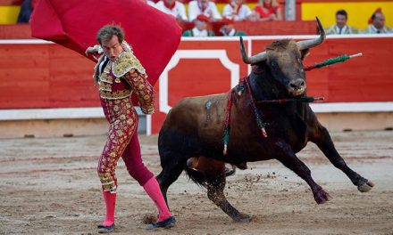 Pertarungan Banteng Dengan Seseorang Atau Matador