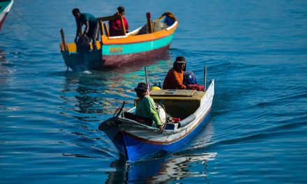 Mata Pencarian Nelayan Mencari Hewan Di Laut