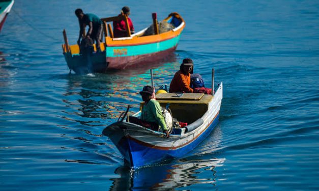 Mata Pencarian Nelayan Mencari Hewan Di Laut