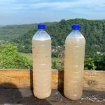 Cairan Manis Aren Menjadi Minuman Tradisional Tuak