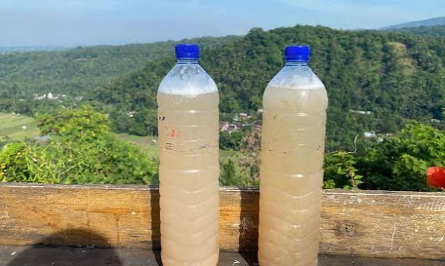 Cairan Manis Aren Menjadi Minuman Tradisional Tuak
