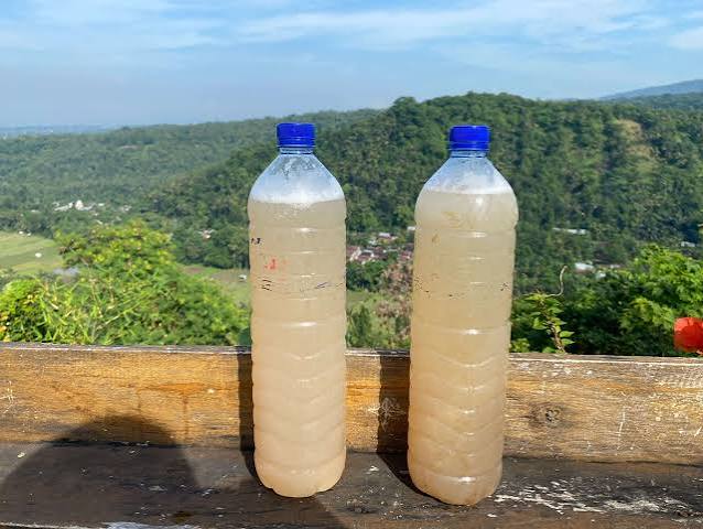 Cairan Manis Aren Menjadi Minuman Tradisional Tuak