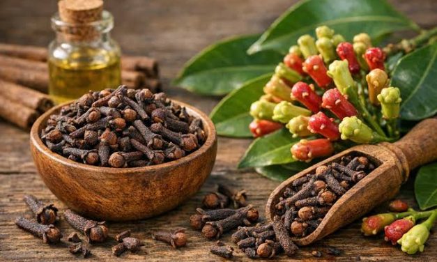 Sebuah Rempah Cengkeh Dengan Banyak Penggunaan